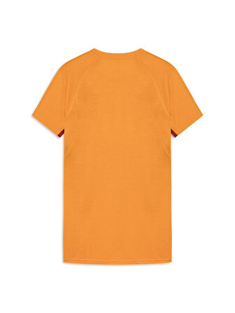 Galatasaray Puma A Takım T-Shirt 78290606