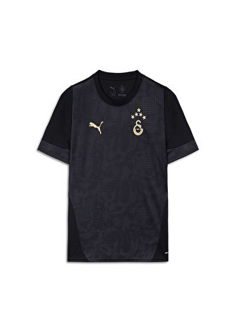 Galatasaray Puma A Takım Antrenman T-Shirt 78288410
