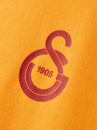 Galatasaray Puma T-Shirt 78290706