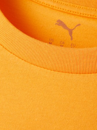 Galatasaray Puma T-Shirt 78290706