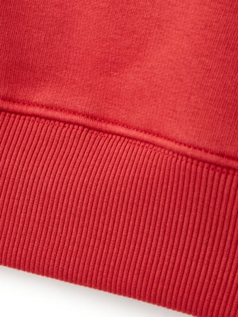Galatasaray Puma Kapüşonlu Sweatshirt 78290801