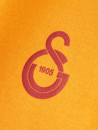 Galatasaray Puma Kapüşonlu Sweatshirt 78290806