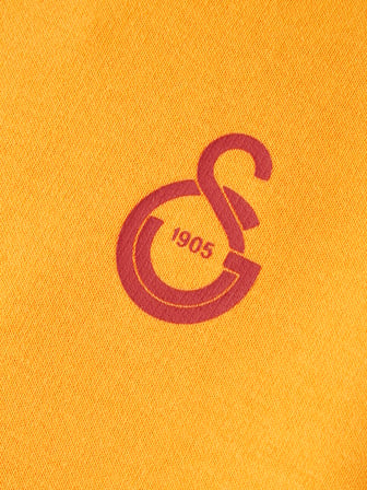 Galatasaray Puma Çocuk Kapüşonlu Sweatshirt 78291406