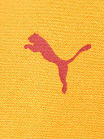 Galatasaray Puma Çocuk Kapüşonlu Sweatshirt 78291406