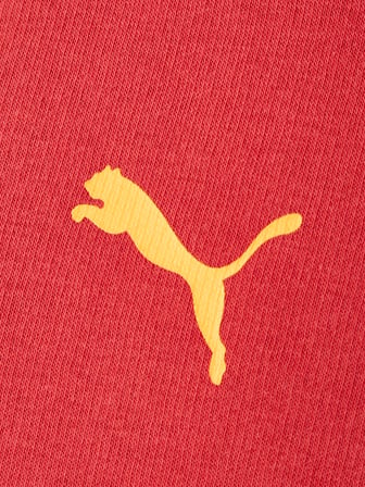Galatasaray Puma Çocuk Fermuarlı Kapüşonlu Sweatshirt 78291501