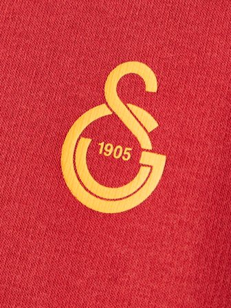 Galatasaray Puma Çocuk Fermuarlı Kapüşonlu Sweatshirt 78291501