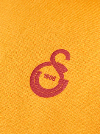 Galatasaray Puma Çocuk Fermuarlı Kapüşonlu Sweatshirt 78291506