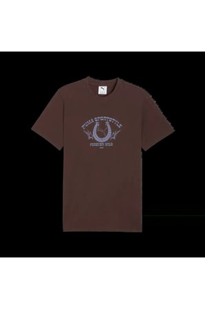 GRAPHIC Tee Kahverengi Erkek T-Shirt