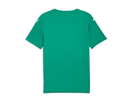 Puma TEAMFINAL GRAPHIC JERSEY Erkek Futbol Forması 70653605 Yeşil