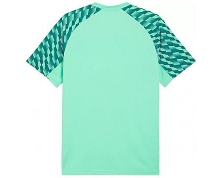 Puma TEAMLIGA26 JERSEY Erkek Futbol Forması 65972180 Mavi