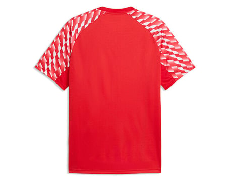 Puma TEAMLIGA26 JERSEY Erkek Futbol Forması 65972101 Kırmızı