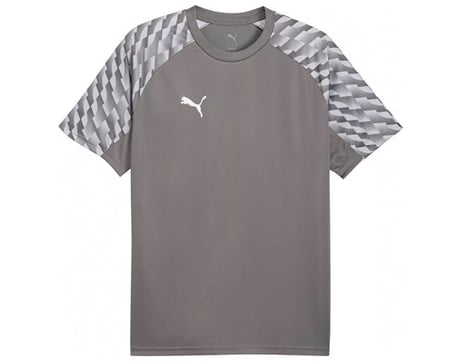 Puma TEAMLIGA26 JERSEY Erkek Futbol Forması 65972113 Gri