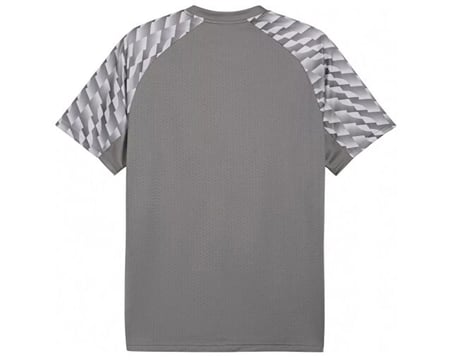 Puma TEAMLIGA26 JERSEY Erkek Futbol Forması 65972113 Gri