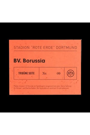 BVB Special Edition JSY Rep Bej Erkek Forma
