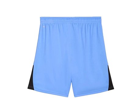 Puma TEAMLIGA26 SHORTS Erkek Futbol Şortu 70655431 Mavi