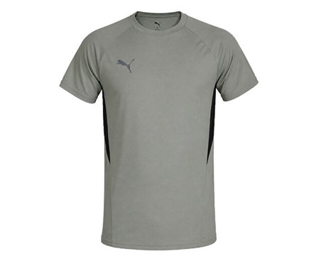 Puma TEAMEVOSTRIPE TEE Erkek Futbol Antrenman Tişörtü 65995345 Gri