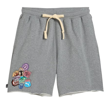 635063-01 Puma The Atw Dylan Terry Short Erkek Şort Ve Kapri Gri
