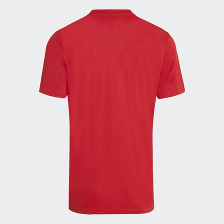 adidas KV7267 TUR OLP JERSEY FIFA World Cup 26 Turkey Jersey