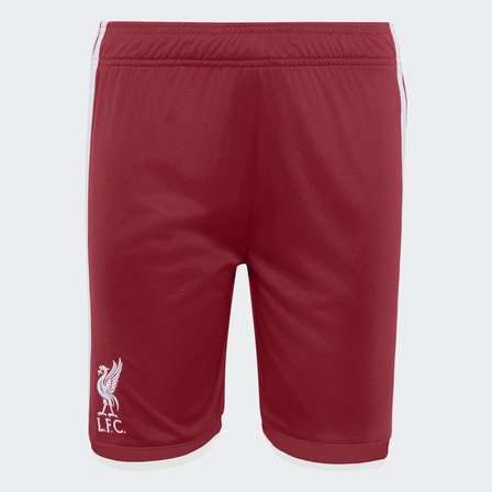 adidas KB8264 LFC H SHO Y Liverpool FC 26-27 Çocuk İç Saha Şortu