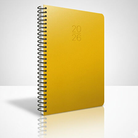 Gıpta 2026 Spiralli Sert Kapak Günlük Ajanda17x24 336 Sayfa 407-SEK