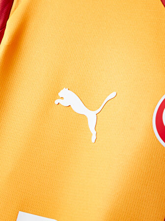 Galatasaray Puma 2025/2026 Uzun Kollu İç Saha Parçalı Forma 78843001