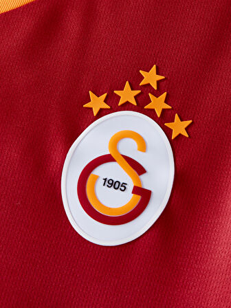 Galatasaray Puma 2025/2026 Uzun Kollu İç Saha Parçalı Forma 78843001