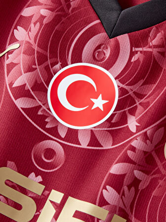 Galatasaray Puma 2025/2026 Uzun Kollu Alternatif Forma 78843203