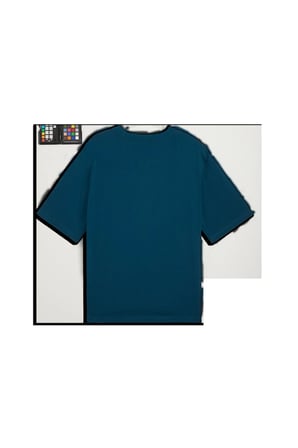 ESS Boxy Tee Erkek Yeşil T-Shirt & Polo