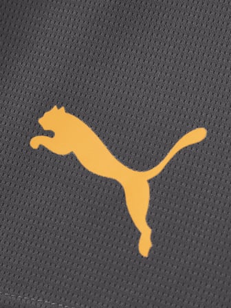 Galatasaray Puma Çocuk Antrenman Şort 78764706