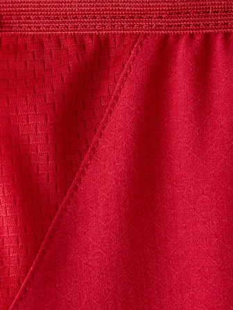 Galatasaray Puma 2026/2027 İç Saha Profesyonel Şort 78502101