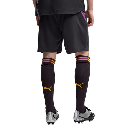 Galatasaray 2026/27 Erkek Gri Futbol Şort 78502305