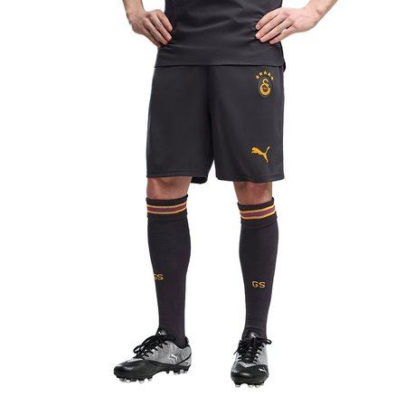 Galatasaray 2026/27 Erkek Gri Futbol Şort 78502305