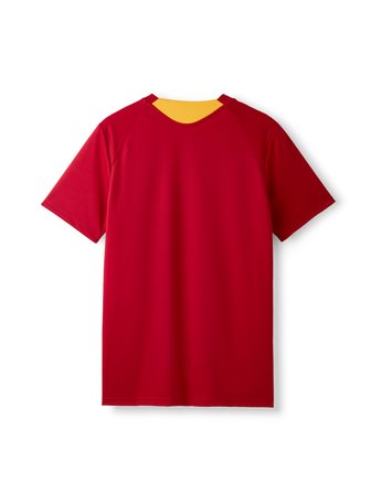 Galatasaray Puma Antrenman T-Shirt 78680501