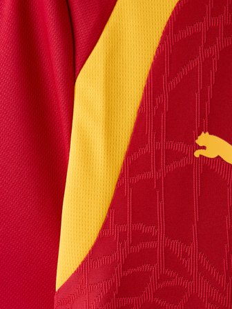 Galatasaray Puma Antrenman T-Shirt 78680501