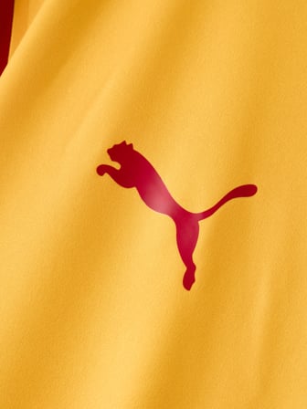 Galatasaray Puma 2026/2027 İç Saha Parçalı Taraftar Forma 78499501
