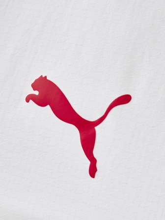 Galatasaray Puma 2026/2027 Alternatif Profesyonel Şort 78502102