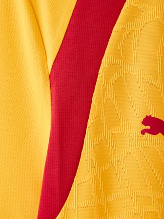Galatasaray Puma Antrenman T-Shirt 78680507