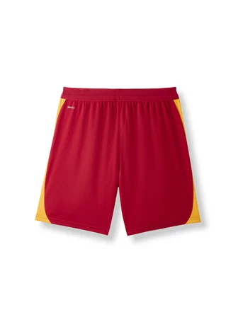 Galatasaray Puma Antrenman Şort 78681201
