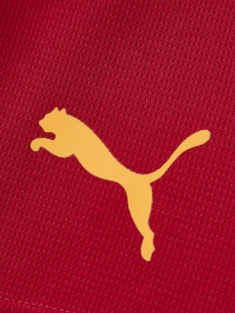 Galatasaray Puma Antrenman Şort 78681201