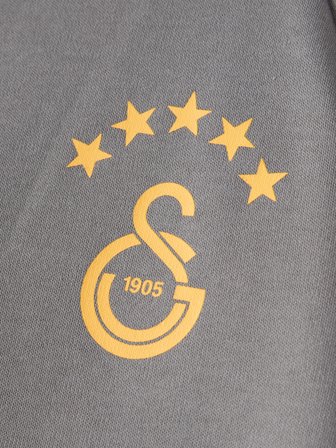 Galatasaray Puma Fermuarlı Kapüşonlu Sweatshirt 78682113