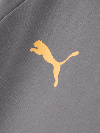 Galatasaray Puma Fermuarlı Kapüşonlu Sweatshirt 78682113