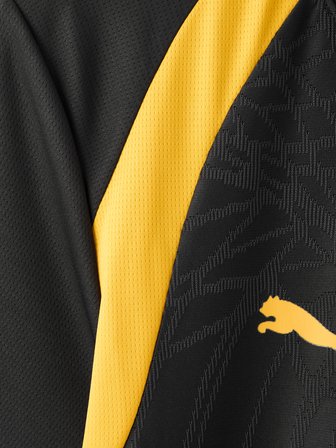 Galatasaray Puma Antrenman T-Shirt 78680503
