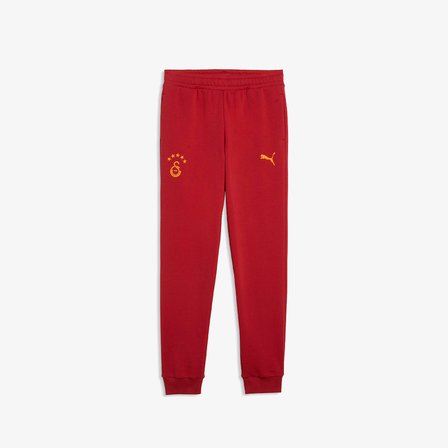 Puma Galatasaray 26/27  Çocuk Gri Eşofman Altı