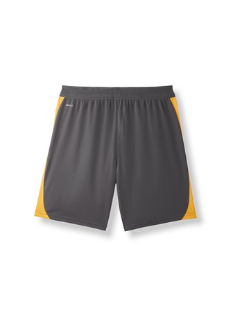 Galatasaray Puma Antrenman Şort 78681206