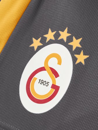 Galatasaray Puma Antrenman Şort 78681206