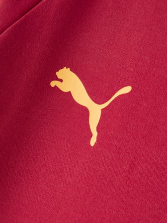 Galatasaray Puma Fermuarlı Kapüşonlu Sweatshirt 78682101