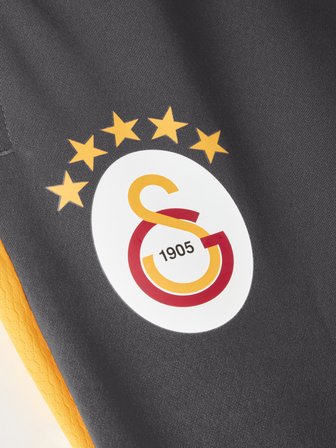 Galatasaray Puma Antrenman Eşofman Alt 78681406