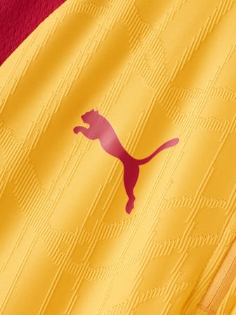 Galatasaray Puma 1/4 Fermuarlı Uzun Kollu Antrenman Üst 78680807