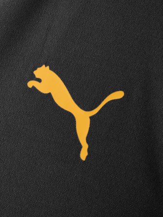 Galatasaray Puma Antrenman Ceket 78680903