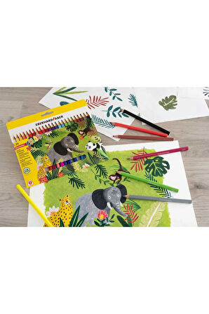 Colori Kalın Üçgen Kuruboya 24lü Set